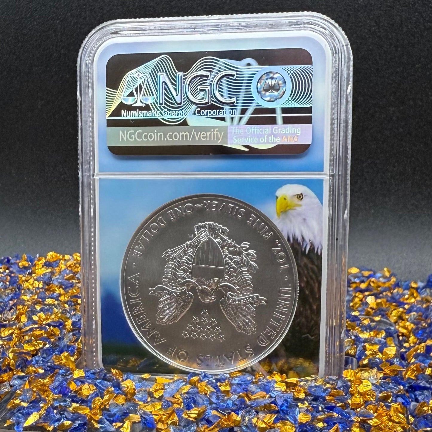 2018 $1 American Silver Eagle NGC MS70 First Day of Issue Eagle Holder Mint Condition (1 of 13,313)