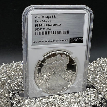 Proof 2020 (W) $1 American Silver Eagle NGC PF70UC Early Releases Stainless Steel Label Mint Condition (1 of 4,472)