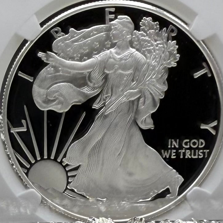 Proof 2020 (W) $1 American Silver Eagle NGC PF70UC Early Releases Stainless Steel Label Mint Condition (1 of 4,472)