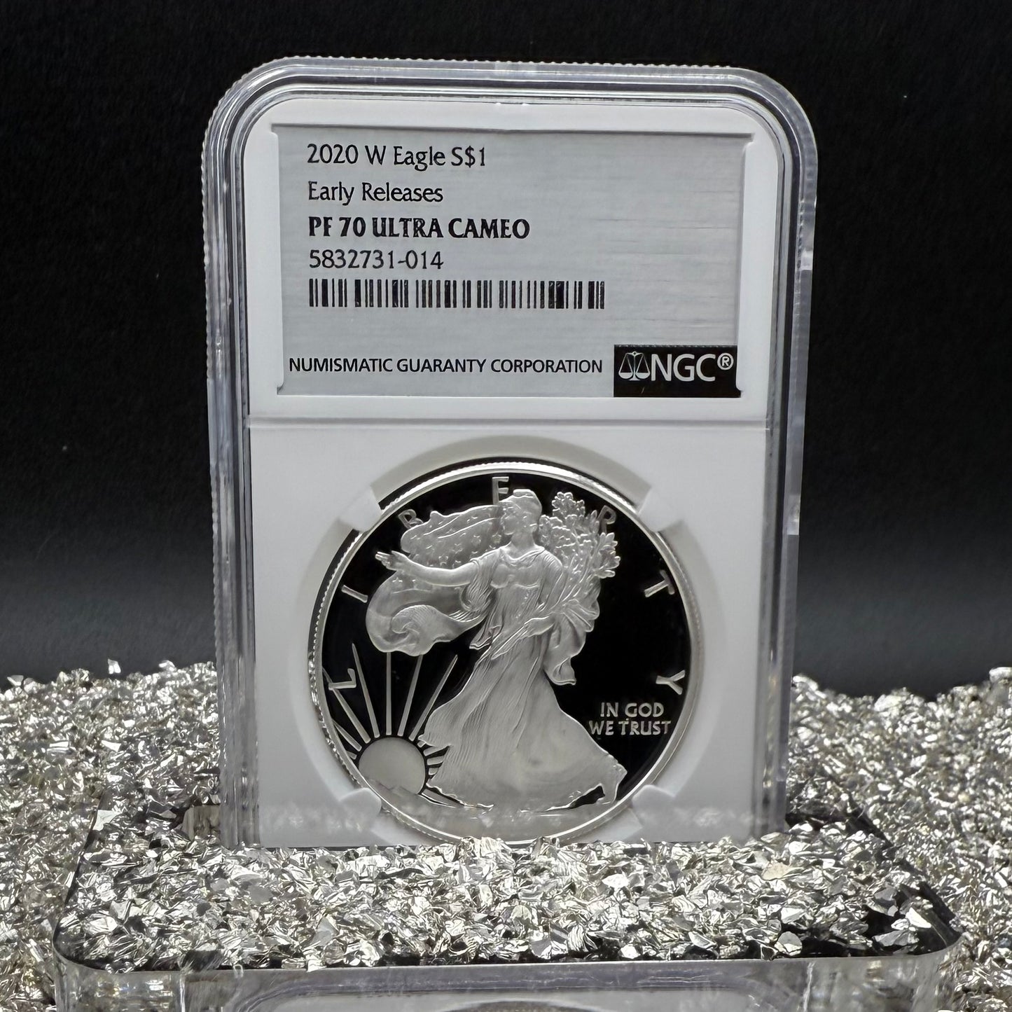 Proof 2020 (W) $1 American Silver Eagle NGC PF70UC Early Releases Stainless Steel Label Mint Condition (1 of 4,472)