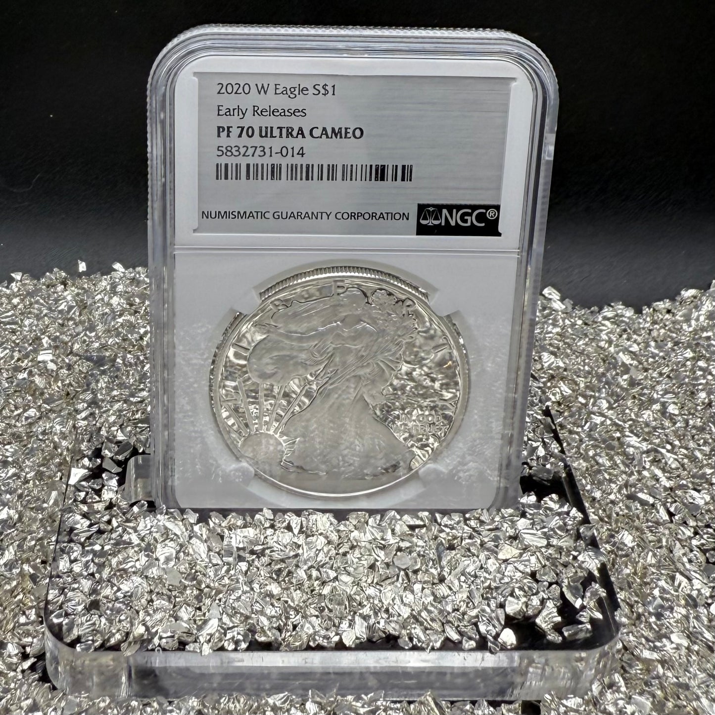 Proof 2020 (W) $1 American Silver Eagle NGC PF70UC Early Releases Stainless Steel Label Mint Condition (1 of 4,472)