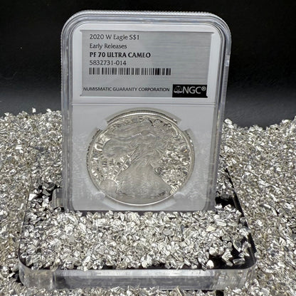 Proof 2020 (W) $1 American Silver Eagle NGC PF70UC Early Releases Stainless Steel Label Mint Condition (1 of 4,472)