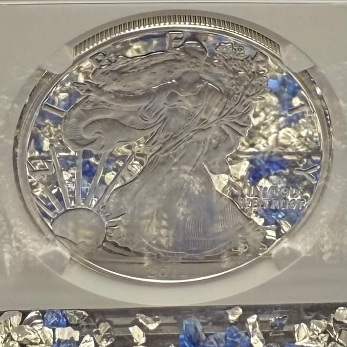 Proof 2013 (W) $1 American Silver Eagle NGC PF70UC First Releases Eagle Label White Holder (1 of 5,212)