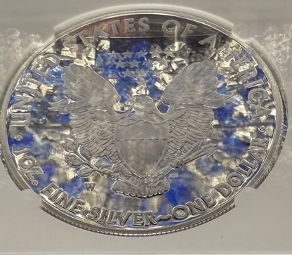 Proof 2013 (W) $1 American Silver Eagle NGC PF70UC First Releases Eagle Label White Holder (1 of 5,212)