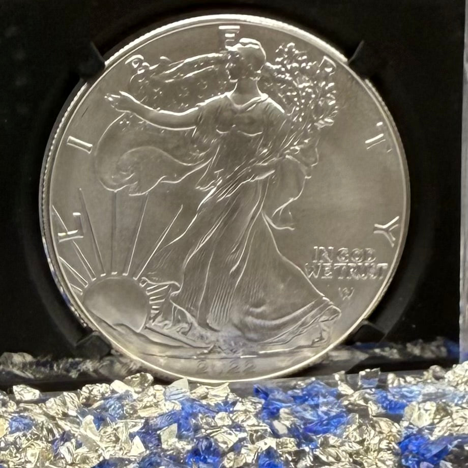 2022 $1 American Silver Eagle NGC MS70 Early Releases Silver Label in Black Holder Rare 1 of 8,163