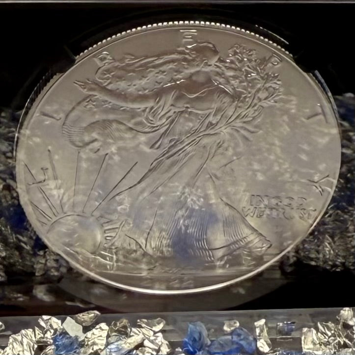 2022 $1 American Silver Eagle NGC MS70 Early Releases Silver Label in Black Holder Rare 1 of 8,163