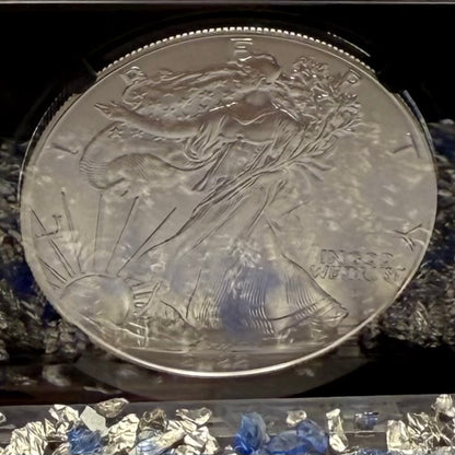 2022 $1 American Silver Eagle NGC MS70 Early Releases Silver Label in Black Holder Rare 1 of 8,163