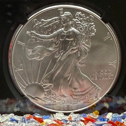 2018 $1 American Silver Eagle NGC MS70 Early Releases Purple Heart Black Holder Rare 1 of 3,360 Mint