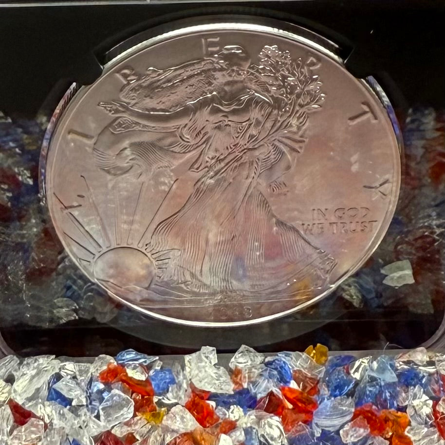 2018 $1 American Silver Eagle NGC MS70 Early Releases Purple Heart Black Holder Rare 1 of 3,360 Mint