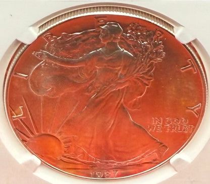 1987 (S) $1 American Silver Eagle NGC MS70 Trolley Label - NGC Label Error One of a Kind (1 of 1)