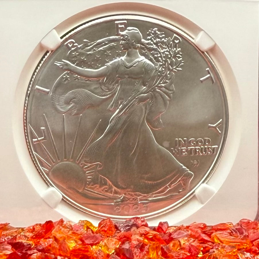 2025 $1 American Silver Eagle NGC MS70 Business Strike The Official Red Book Label