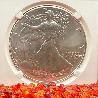 2025 $1 American Silver Eagle NGC MS70 Business Strike The Official Red Book Label