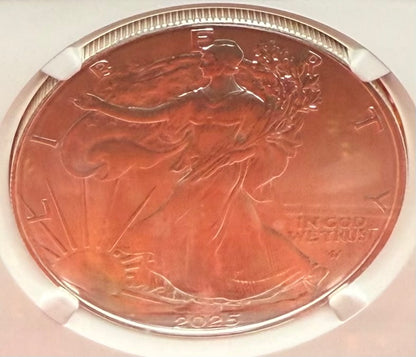 2025 $1 American Silver Eagle NGC MS70 Business Strike The Official Red Book Label