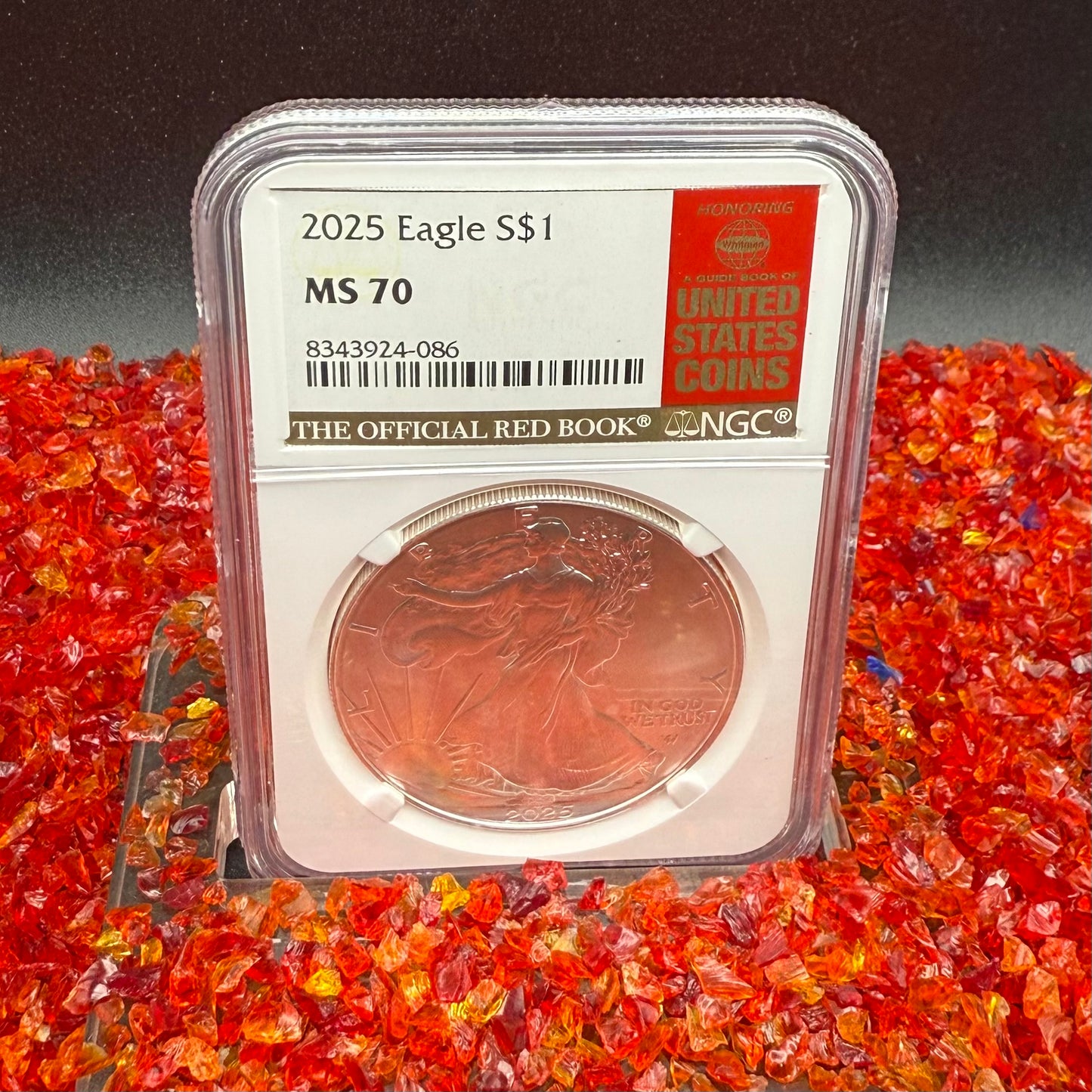 2025 $1 American Silver Eagle NGC MS70 Business Strike The Official Red Book Label