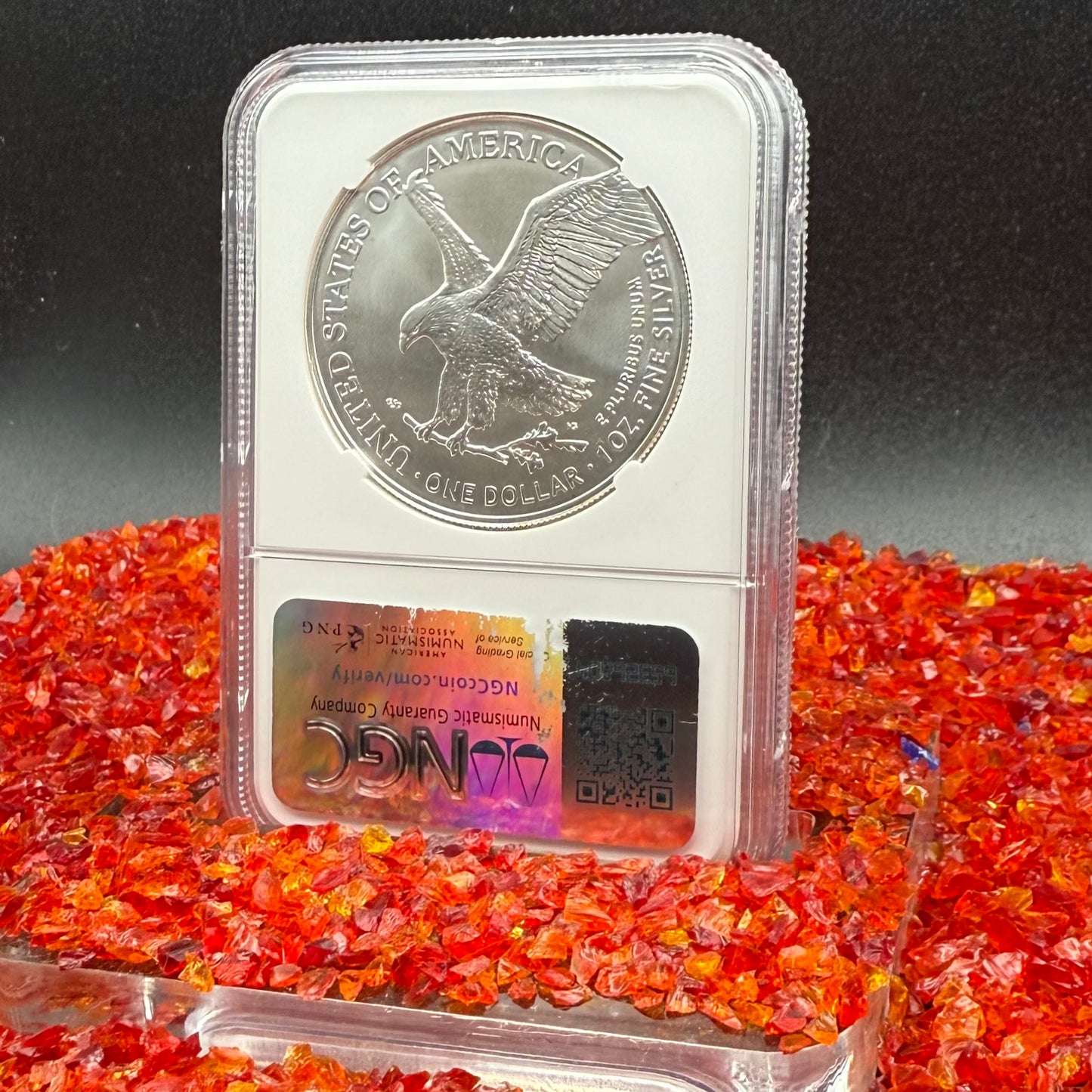 2025 $1 American Silver Eagle NGC MS70 Business Strike The Official Red Book Label