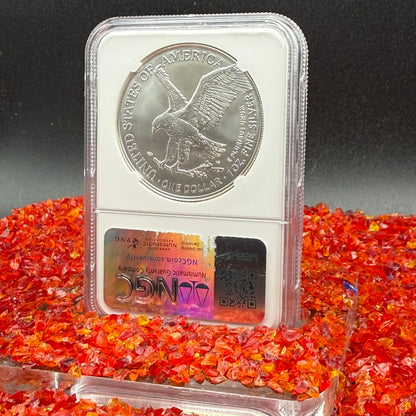 2025 $1 American Silver Eagle NGC MS70 Business Strike The Official Red Book Label
