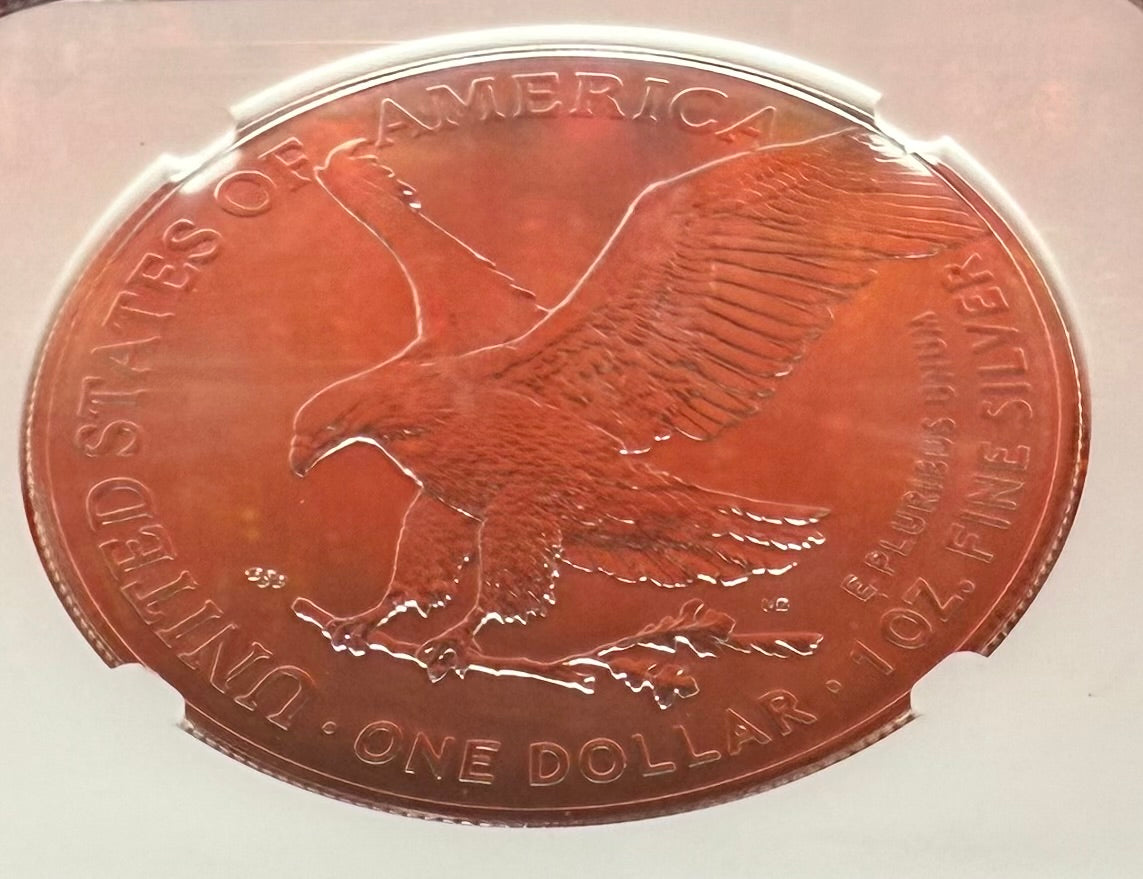 2025 $1 American Silver Eagle NGC MS70 Business Strike The Official Red Book Label