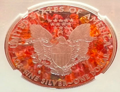 Proof 2012 (S) $1 American Silver Eagle NGC PF70UC First Releases Rare Orange Label (1 of 3,767)