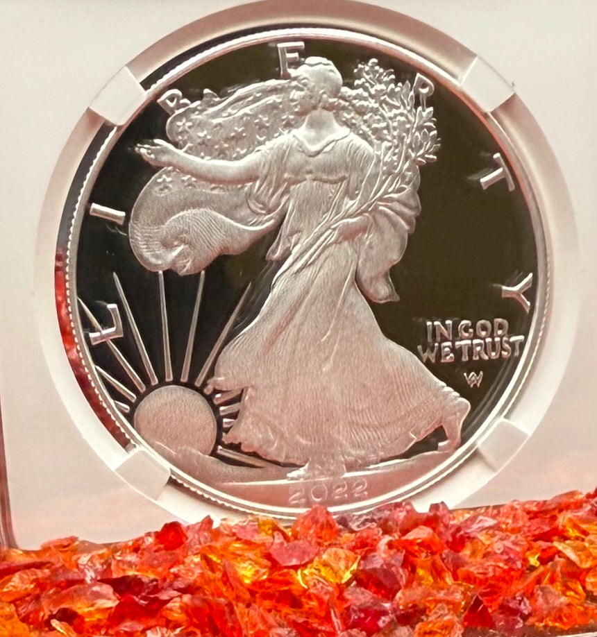 Proof 2022 (W) $1 American Silver Eagle NGC PF70UC Congratulations Set Modern Brown Label Mint Condition (1 of 409)