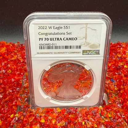 Proof 2022 (W) $1 American Silver Eagle NGC PF70UC Congratulations Set Modern Brown Label Mint Condition (1 of 409)