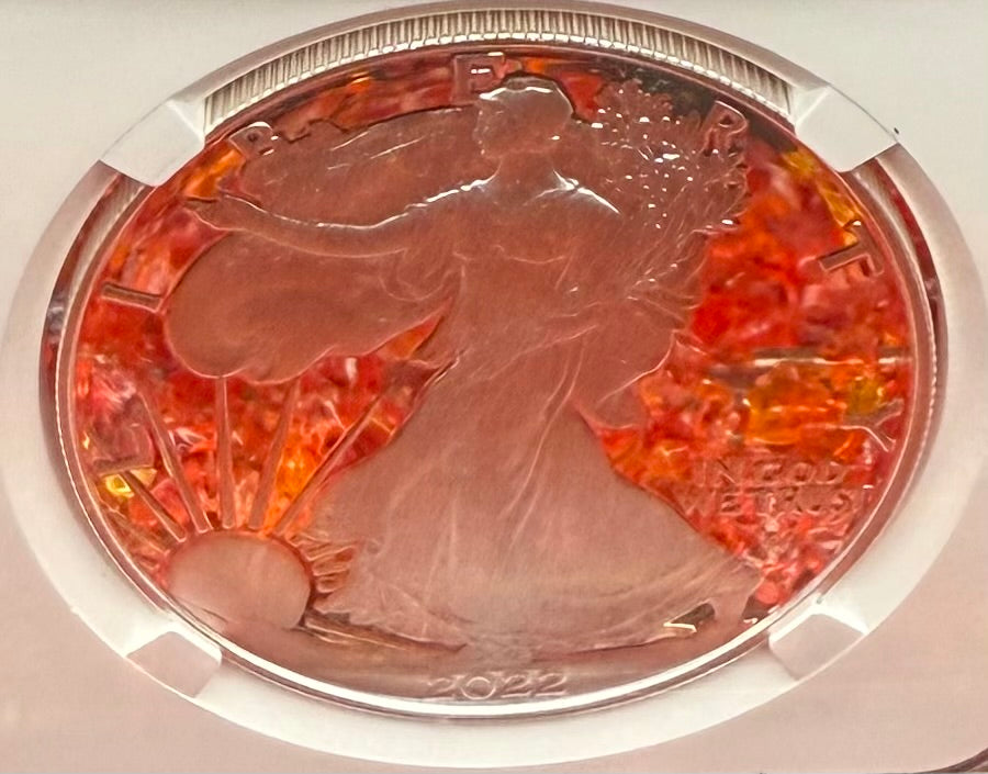 Proof 2022 (W) $1 American Silver Eagle NGC PF70UC Congratulations Set Modern Brown Label Mint Condition (1 of 409)