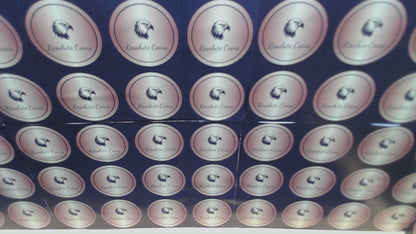 Reverse Proof 2021 (W) $1 American Silver Eagle NGC PF70 Type 1 Silver Design Set 35th Anniversary Label Mint Condition (1 of 7,334)