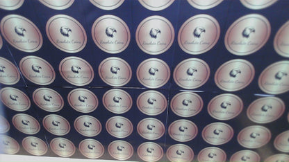 2021 (S) $1 American Silver Eagle PCGS MS70 FDOI Type 1 Reagan Legacy Series Signed Label (1 of 529)