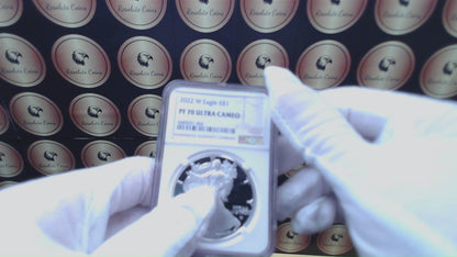 Proof 2022 (W) $1 American Silver Eagle NGC PF70 Modern Brown Label (1 of 5,895)