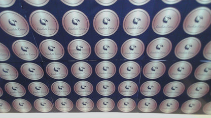 2017 $1 (W) American Silver Eagle PCGS MS70 First Day of Issue Gold Foil Label (Rare 1 of 2,017)