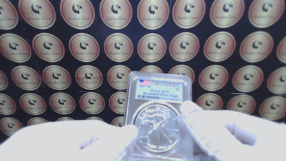 Burnished 2017 (W) $1 American Silver Eagle PCGS SP70 First Strike American Flag Label Mint Condition (1 of 4,869)