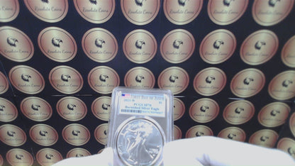 Burnished 2023 (W) $1 American Silver Eagle PCGS SP70 First Day of Issue American Flag Label (1 of 1,869)