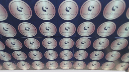 2018 $1 American Silver Eagle NGC MS70 New Years Edition Ultra Rare Holder & Label