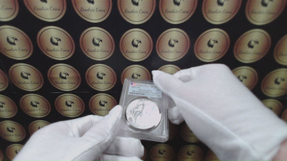 Burnished 2023 (W) $1 American Silver Eagle PCGS SP70 First Day of Issue American Flag Label Mint Condition (1 of 1,869)