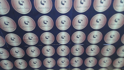 Proof 2015 (W) $1 American Silver Eagle NGC PF70 Early Releases Modern Blue Label Mint Condition (1 of 9,265)