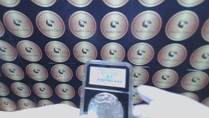 Burnished 2015 (W) $1 American Silver Eagle NGC MS70 First Day of Issue Black Core Gold Star Label Mint Condition (1 of 6,091)