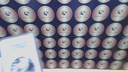 Reverse Proof & Enhanced Finish (2 Coin Set) 2013 (W) $1 American Silver Eagle NGC PF69 White Core Holder West Point Gold Star Label