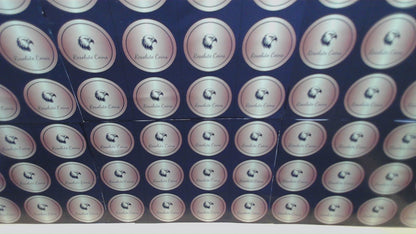 Burnished 2017 (W) $1 American Silver Eagle PCGS SP70 First Strike Rare 225th Anniversary Label Mint Condition (1 of 1,000)