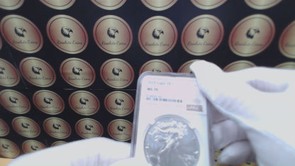 2024 $1 American Silver Eagle NGC MS70 Business Strike Brown Label