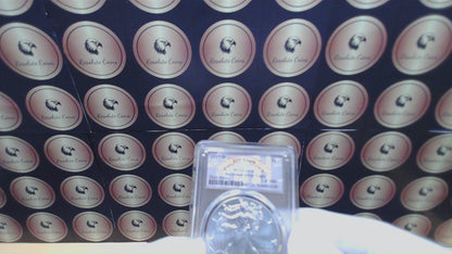 Burnished 2017 (W) $1 American Silver Eagle PCGS SP70 First Strike Rare 225th Anniversary Label (1 of 1,000)