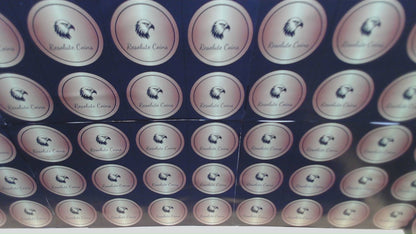 2021 $1 American Silver Eagle PCGS MS70 FDOI Type 2 Jim Peed Signed Label Mint Condition (1 of 3999)