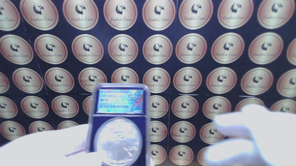 Burnished 2007 $1 (W) American Silver Eagle NGC MS70 Private Issue Limited Edition Trader Bea Purple Holder Mint Condition