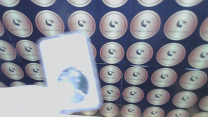 Proof 2017 (W) $1 American Silver Eagle NGC PF70 Modern Brown Label Mint Condition (1 of 4,190)