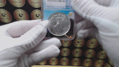 2016 $1 American Silver Eagle NGC MS70 First Day of Issue Eagle Holder Mint Condition (1 of 27,272)