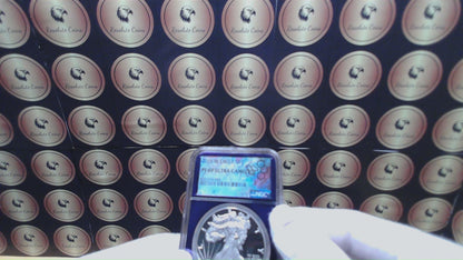 Proof 2015 (W) $1 American Silver Eagle NGC PF69 Trader Bea Private Issue Purple Foil New Holder Rare