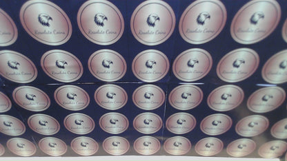 Proof 2018 (W) $1 American Silver Eagle NGC PF70 Modern Brown Label Mint Condition (1 of 5,493)